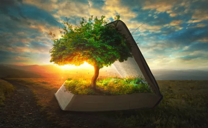 Book slightly open with a tree emerging from the pages sunset background 