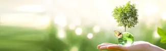 Basic EMDR Training